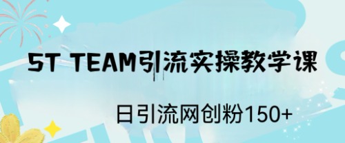 【副业项目6745期】ST TEAM引流实操课，日引流网创粉100+-悠闲副业网