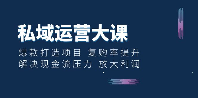 【副业项目6574期】私域运营大课：爆款打造项目 复购率提升 解决现金流压力 放大利润-悠闲副业网