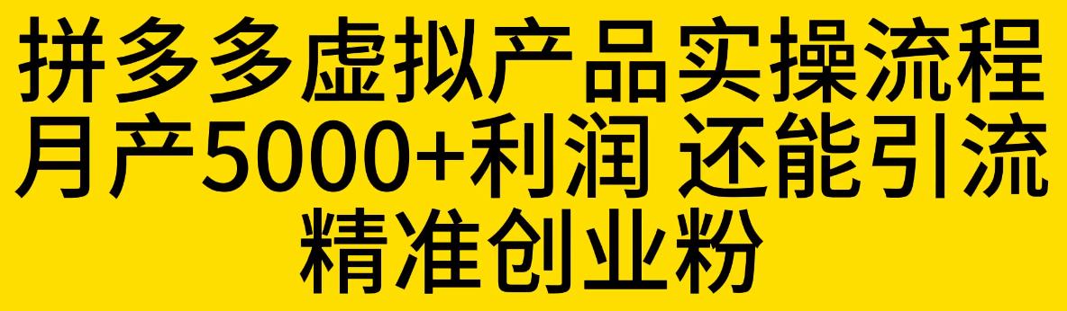 【副业项目6569期】拼多多虚拟产品实操流程，月产5000+利润，还能引流精准创业粉-悠闲副业网