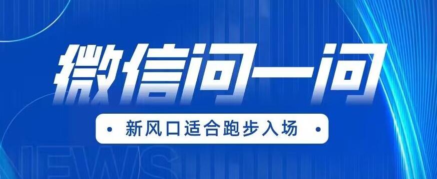 【副业项目6729期】全网首发微信问一问新风口变现项目（价值1999元）【揭秘】-悠闲副业网