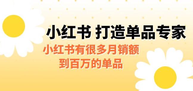 【副业项目6703期】某公众号付费文章《小红书打造单品专家》小红书有很多月销额到百万的单品-悠闲副业网