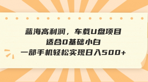 【副业项目6781期】蓝海高利润，车载U盘项目，适合0基础小白，一部手机轻松实现一天500+-悠闲副业网