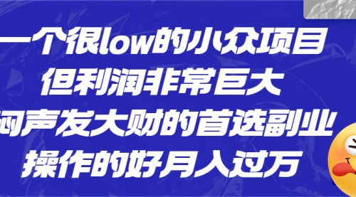 【副业项目6782期】一个很low的小众项目，但利润非常巨大，闷声发大财的首选副业，月入过万-悠闲副业网