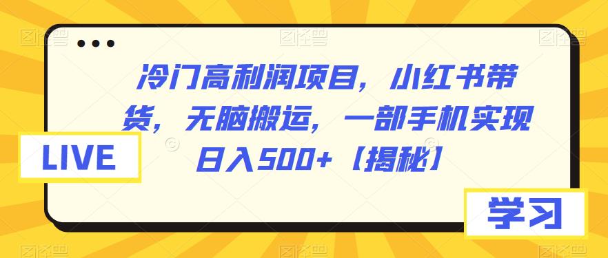 【副业项目6875期】冷门高利润项目，小红书带货，无脑搬运，一部手机实现日入500+【揭秘】-悠闲副业网