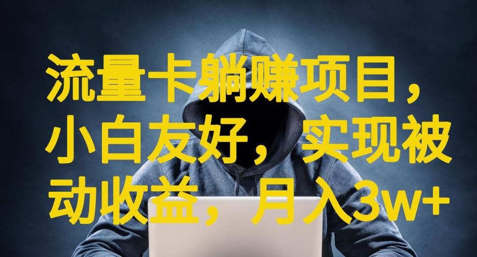 【副业项目6842期】流量卡躺赚项目，小白友好，开设后台，实现被动收益，只要出卡，就能一直赚钱，利润高昂【揭秘】-悠闲副业网