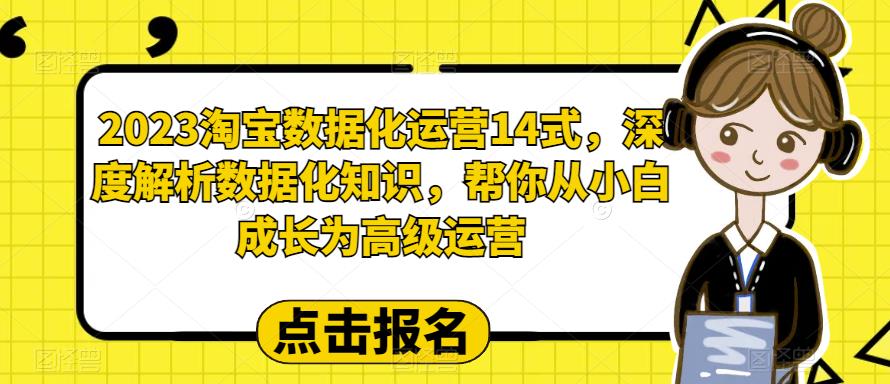 【副业项目6599期】2023淘宝数据化-运营 14式，深度解析数据化知识，帮你从小白成长为高级运营-悠闲副业网