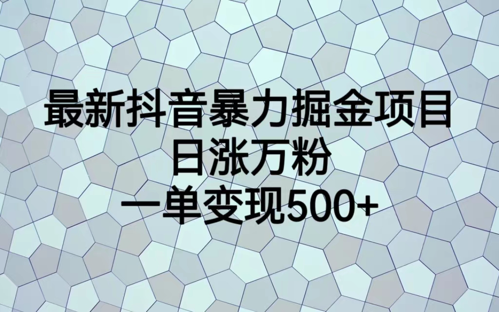 【副业项目6939期】最新抖音暴力掘金项目，日涨万粉，一单变现500+-悠闲副业网