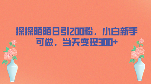 【副业项目7026期】探探陌陌日引200粉，小白新手可做，当天就能变现300+-悠闲副业网