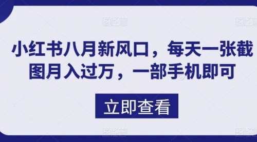 【副业项目7078期】八月新风口，小红书虚拟项目一天收入1000+-悠闲副业网