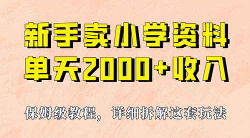 【副业项目7100期】卖小学资料，实现单天2000+，实操项目，保姆级教程+资料+工具-悠闲副业网