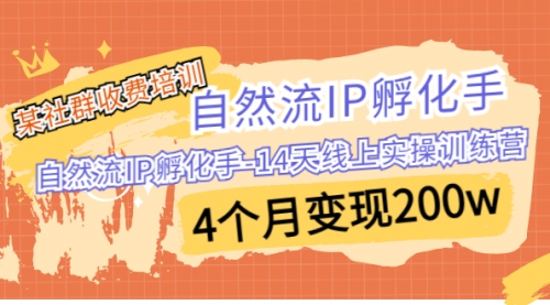 【副业项目7109期】自然流IP孵化手-14天线上实操训练营 4个月变现200w-悠闲副业网
