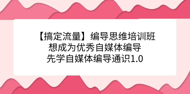 【副业项目7456期】编导思维培训班，想成为优秀自媒体编导先学自媒体编导通识1.0-悠闲副业网