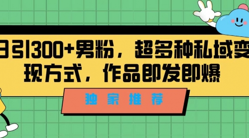 【副业项目7191期】独家推荐！日引300+男粉，超多种私域变现方式-悠闲副业网