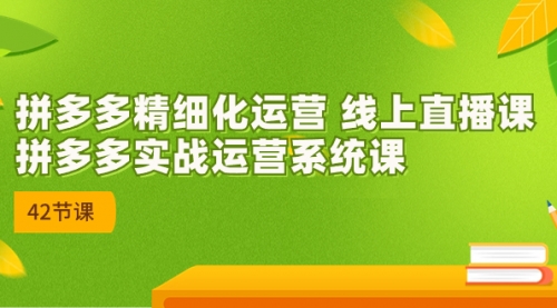 【副业项目7292期】2023年新课-拼多多精细化运营-悠闲副业网