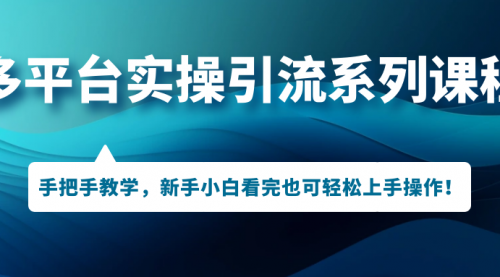 【副业项目7293期】多平台实操引流系列课程，手把手教学，新手小白看完也可轻松上手引流操作！-悠闲副业网