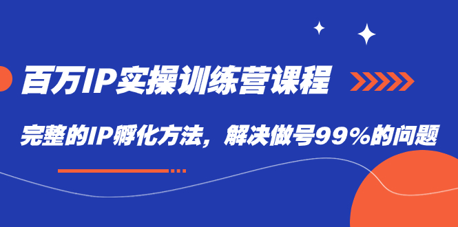 【副业项目7564期】百万IP实战训练营课程，完整的IP孵化方法，解决做号99%的问题-悠闲副业网