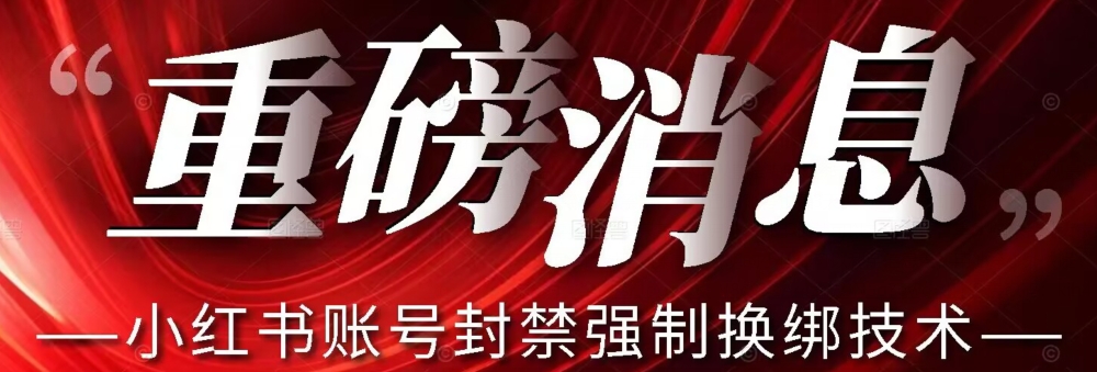 【副业项目7574期】【最新】小红书账号封禁强制换绑技术可日赚300-悠闲副业网