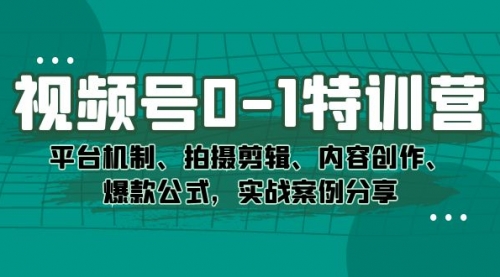 【副业项目7596期】视频号0-1特训营：平台机制、拍摄剪辑、内容创作、爆款公式，实战案例分享-悠闲副业网