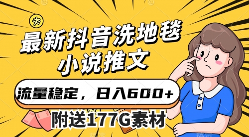 【副业项目7638期】最新抖音洗地毯小说推文，流量稳定，一天收入600（附177G素材）-悠闲副业网