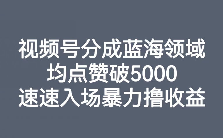 【副业项目8023期】视频号分成蓝海领域，均点赞破5000，速速入场暴力撸收益-悠闲副业网