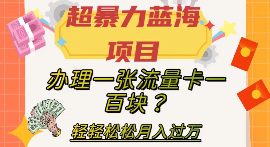 【副业项目8024期】超暴力蓝海项目，办理一张流量卡一百块？轻轻松松月入过万，保姆级教程【揭秘】-悠闲副业网