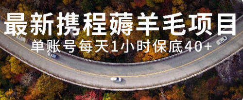 【副业项目8232期】最新携程薅羊毛项目，单账号每天1小时保底收益40+，可矩阵操作-悠闲副业网
