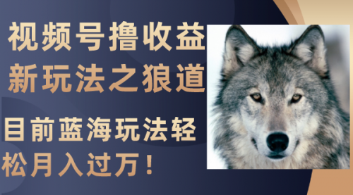 【副业项目8271期】视频号撸收益新玩法之狼道，目前蓝海玩法轻松月入过万！-悠闲副业网