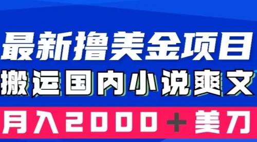 【副业项目8408期】国内小说爽文搬运到国外，复制粘贴一月2000+美金-悠闲副业网