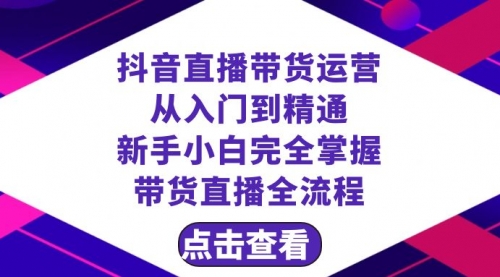 【副业项目8483期】抖音直播带货 运营从入门到精通，新手完全掌握带货直播全流程（23节-悠闲副业网