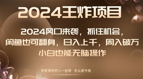 【副业项目8548期】2024闲鱼翻身项目，小白也可做-悠闲副业网
