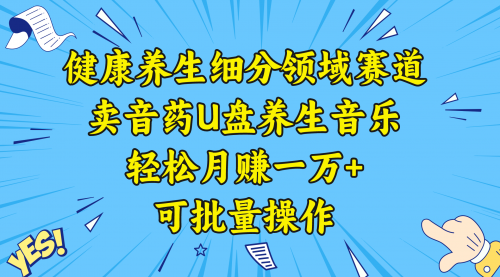 【副业项目8638期】健康养生细分领域赛道，卖音药U盘养生音乐，轻松月赚一万+，可批量操作-悠闲副业网