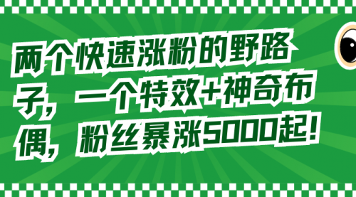 【副业8723期】两个快速涨粉的野路子，一个特效+神奇布偶，粉丝暴涨5000起！-悠闲副业网