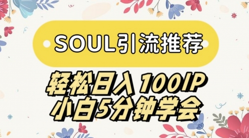 【副业9006期】SOUL引流推荐 轻松日入100IP 小白5分钟学会-悠闲副业网