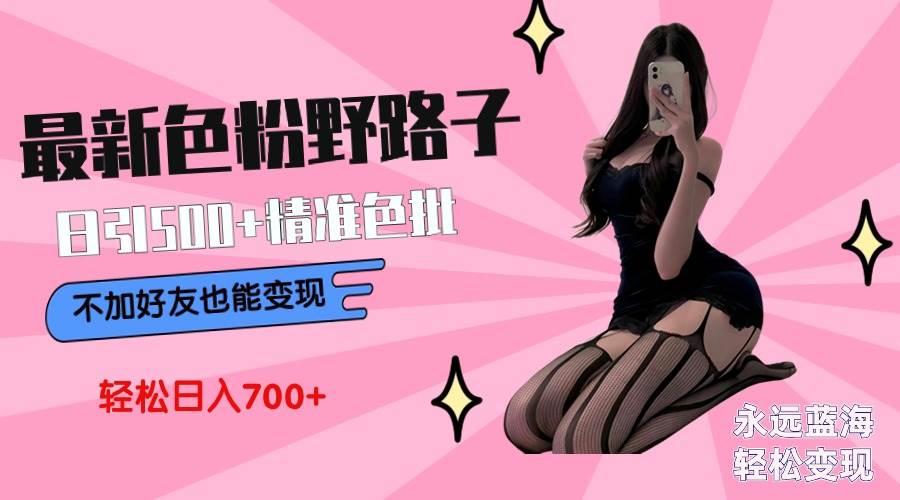 最新色粉变现野路子，日引500+老色批 可不加好友直接变现 小白轻松日入700+-悠闲副业网