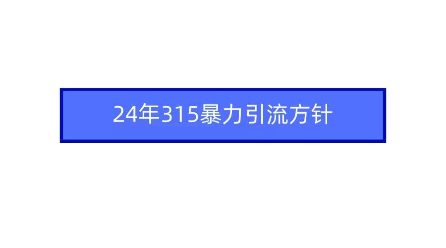 2024年315暴力引流方针-悠闲副业网