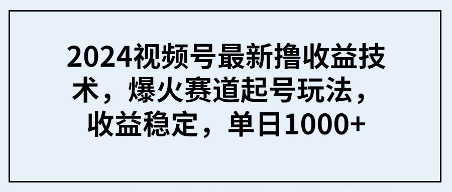 2024视频号最新撸收益技术，爆火赛道起号玩法，收益稳定，单日1000+-悠闲副业网