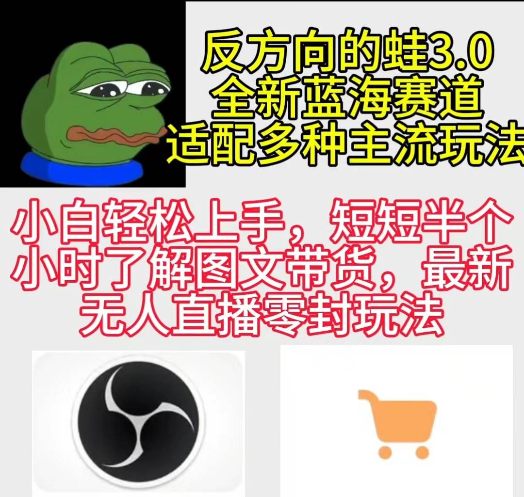 反方向的蛙3.0，图文最新玩法，变现多元化，新蓝海项目，小白轻松上手-悠闲副业网
