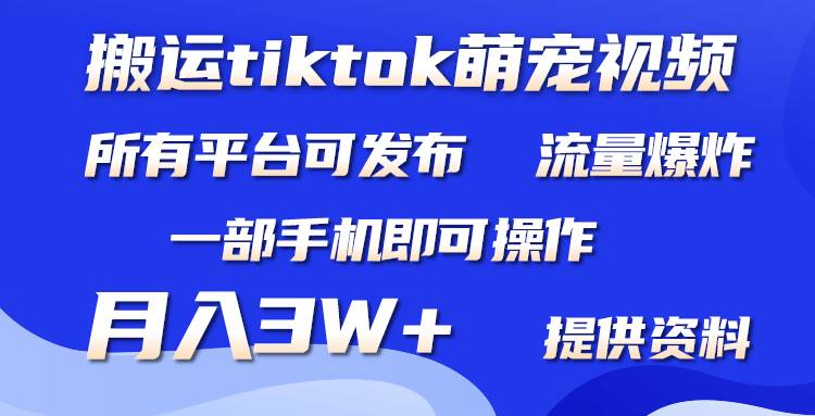 搬运Tiktok萌宠类视频，一部手机即可。所有短视频平台均可操作，月入3W+-悠闲副业网