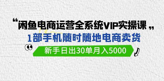 闲鱼电商运营全系统VIP实战课，1部手机随时随地卖货，新手日出30单月入5000-悠闲副业网
