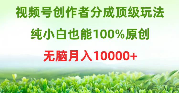 视频号创作者分成顶级玩法，纯小白也能100%原创，无脑月入10000+-悠闲副业网