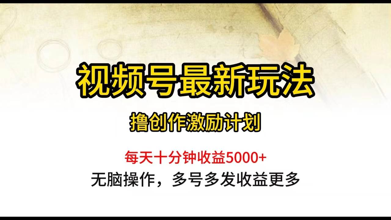 视频号最新玩法，每日一小时月入5000+-悠闲副业网