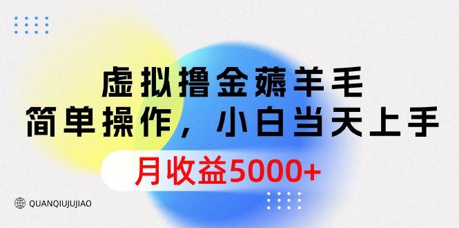 虚拟撸金薅羊毛，简单操作，小白当天上手，月收益5000+-悠闲副业网
