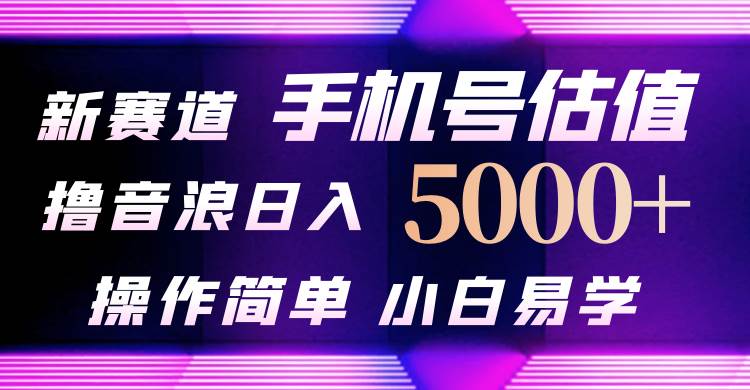 抖音不出境直播【手机号估值】最新撸音浪，日入5000+，简单易学，适合…-悠闲副业网