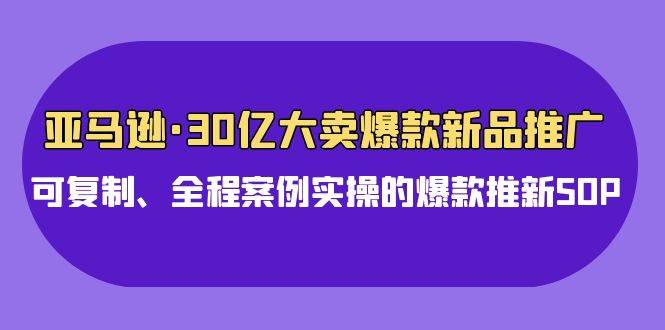 亚马逊30亿·大卖爆款新品推广，可复制、全程案例实操的爆款推新SOP-悠闲副业网