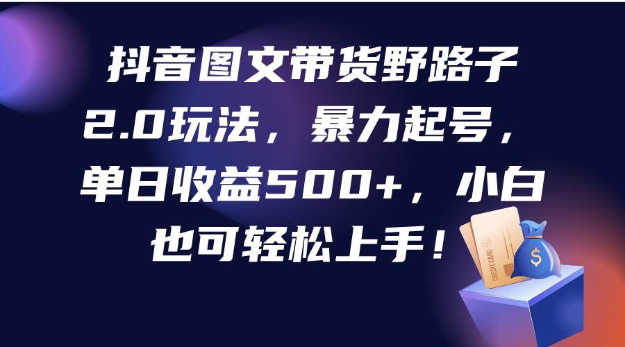 抖音图文带货野路子2.0玩法，暴力起号，单日收益500+，小白也可轻松上手！-悠闲副业网