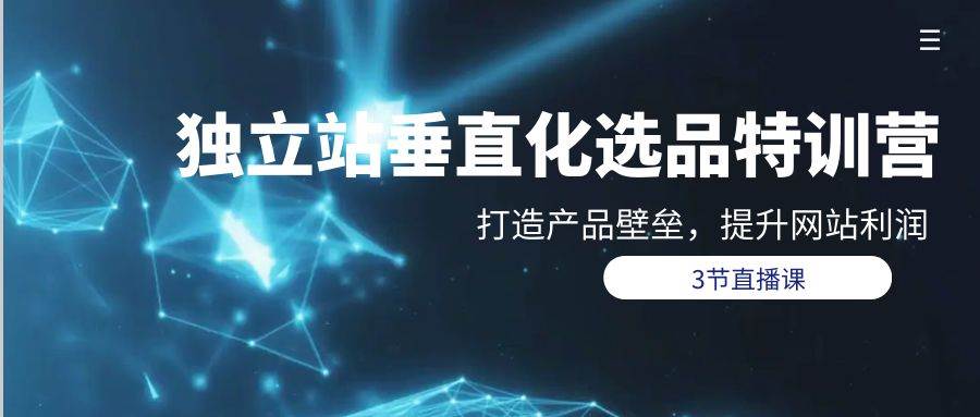 独立站-垂直化选品训练营，打造产品壁垒，提升网站利润（3节直播课）-悠闲副业网
