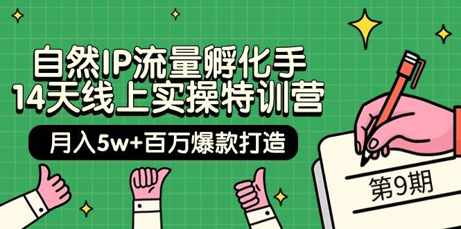 自然IP流量孵化手 14天线上实操特训营【第9期】月入5w+百万爆款打造 (74节)-悠闲副业网