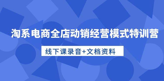 淘系电商全店动销经营模式特训营，线下课录音+文档资料-悠闲副业网
