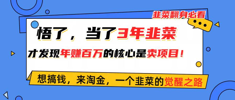 悟了，当了3年韭菜，才发现网赚圈年赚100万的核心是卖项目，含泪分享！-悠闲副业网