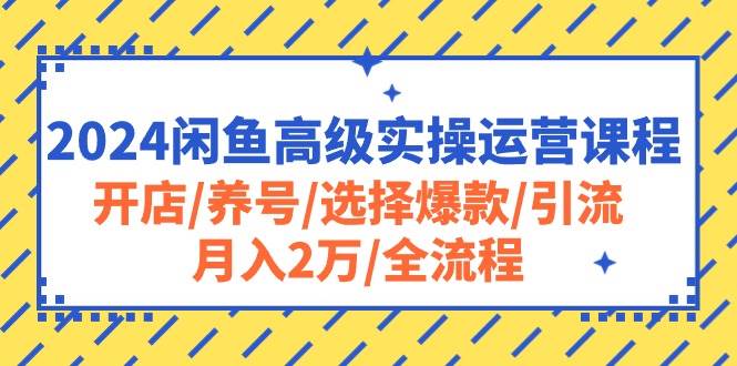 2024闲鱼高级实操运营课程:开店/养号/选择爆款/引流/月入2万/全流程-悠闲副业网